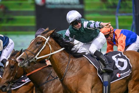 Makybe Diva Stakes 2024 Field, Tips, Odds, Betting, .